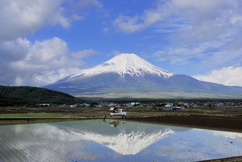 富士山